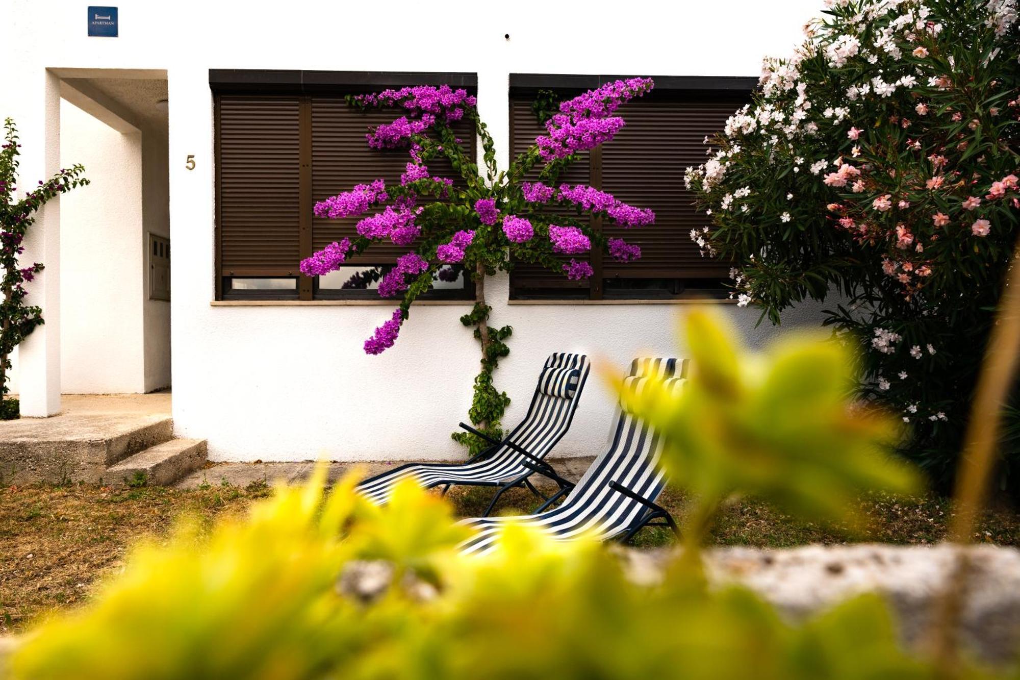 Apartment Dida Sime